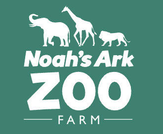 Noah's Ark Zoo Farm